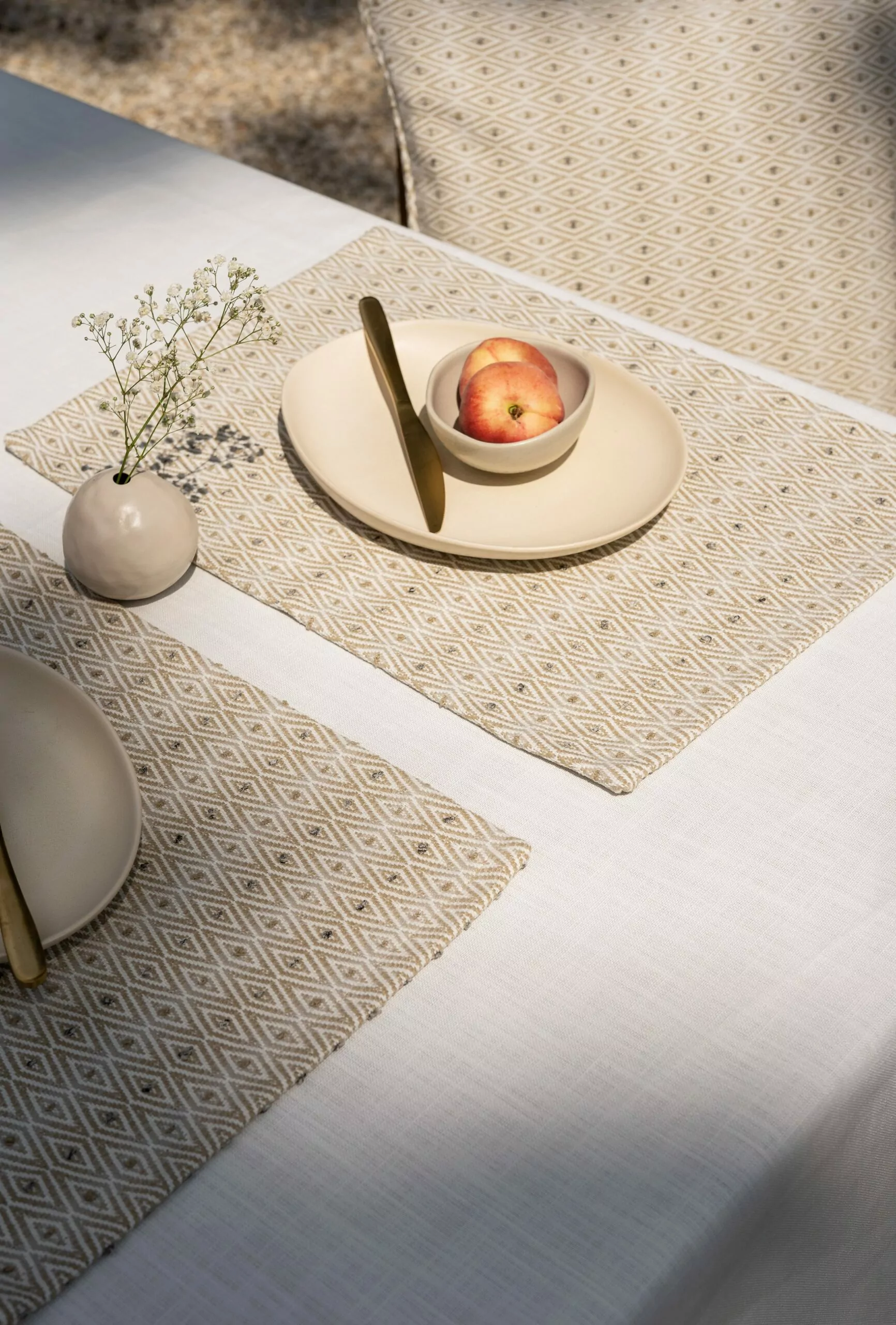 LAZE outdoor tablecloth 'misty' white and placemats diamond beige